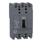 Molded Case Circuit Breaker - EZC100N3100