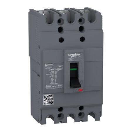 Molded Case Circuit Breaker - EZC100N3060