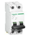 A9N61522 - miniature circuit breaker - C60H - 2 poles - 2 A - C curve