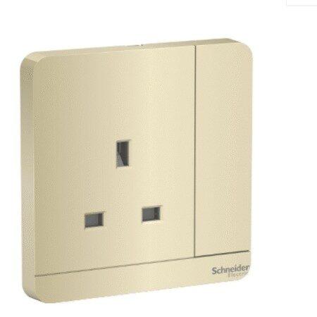 Top Schneider Electric Products - Sockets